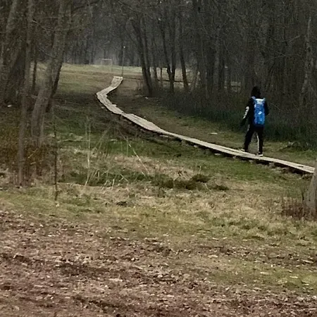 ореховая горка с балконом и лифтом * Narva