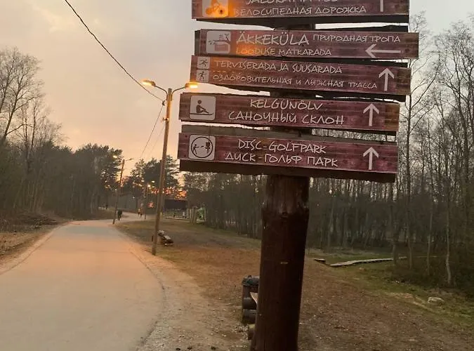 ореховая горка с балконом и лифтом